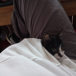 91人成色情网www中国
